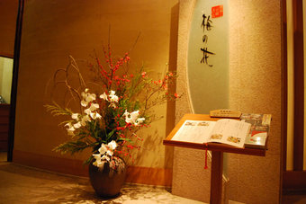 梅の花写真